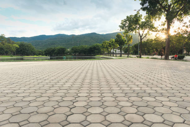 Best Concrete Paver Driveway  in Asbury, IA